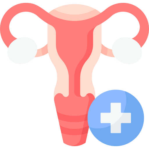 Gynekologi
